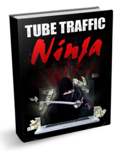 Tube Traffic Ninja