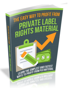 Ez Way To Profit From PLR Material